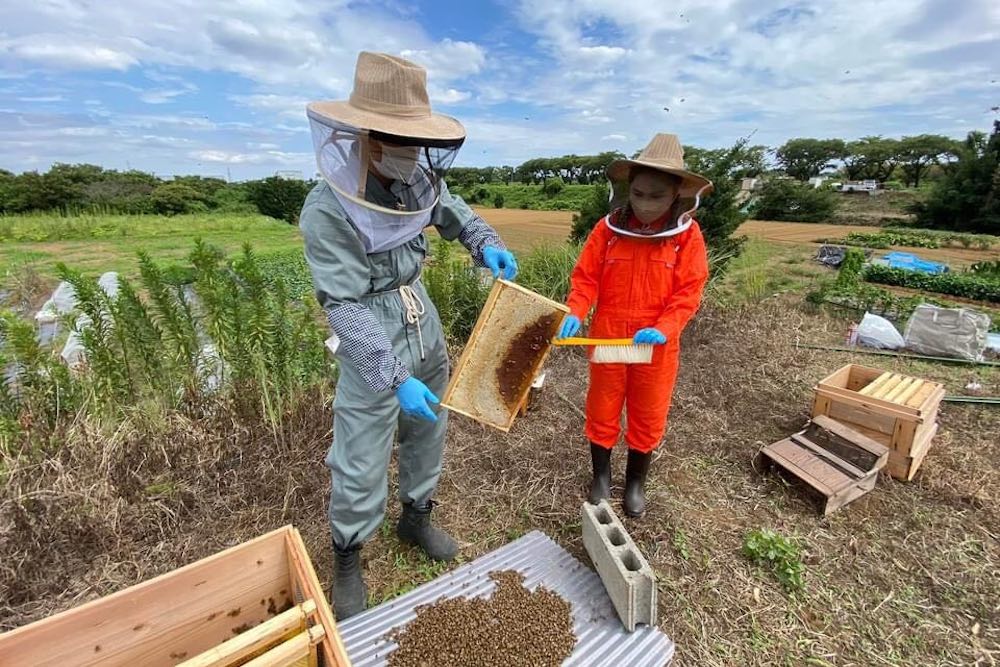 【イベント】2/3 おたがいハマセミナー：若者が推進するサーキュラーエコノミーplus〜星天qlay、マッチメディア瀬谷、瀬谷ハチミツリビングラボの事例から〜